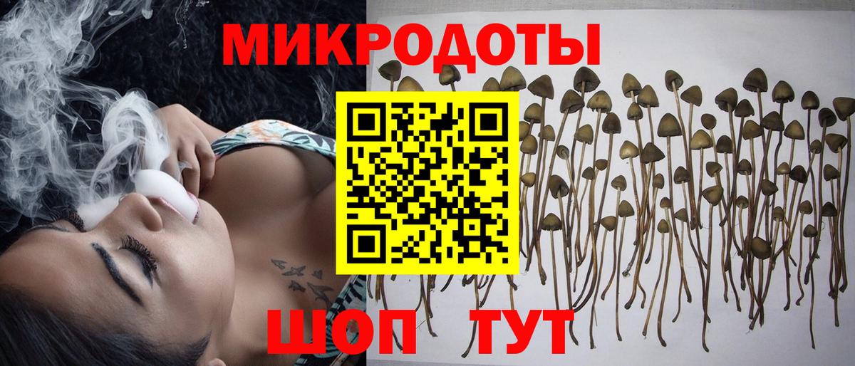 Галлюциногенные грибы GOLDEN TEACHER Саянск