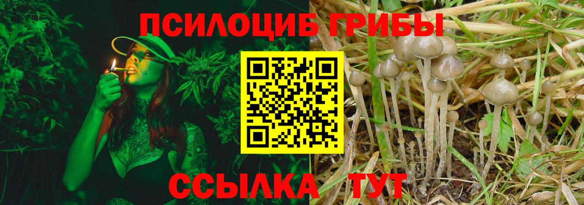 Псилоцибиновые грибы MAGIC MUSHROOMS  Вход с VPN  Галлюциногенные грибы Psilocybe  Саянск 